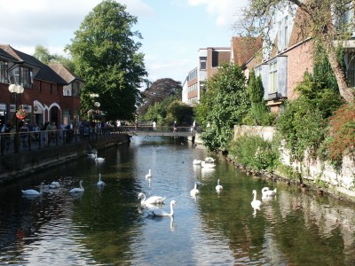 Salisbury - Avon