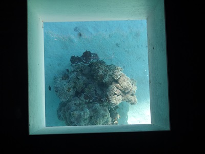 Französisch Polynesien - Bora Bora - Bodenfenster im Überwasserbungalow