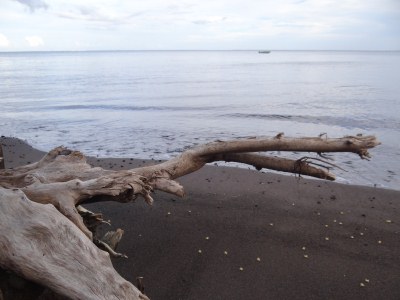 Französich Polynesien - Tahiti - Strand beim Gauguin Museum