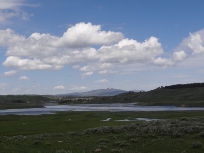 Hayden Valley