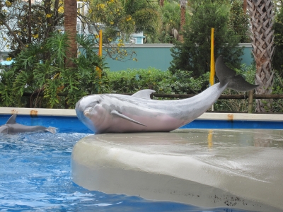 Sea World - Pflegestation für Delfine