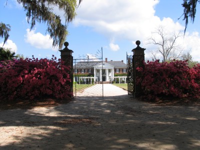 Charleston - Boone Hall Plantation