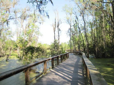 Magnolia Plantation - Audubon Swamp Gardens
