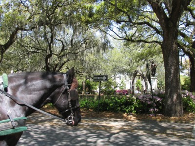 Savannah - Chippewa Square