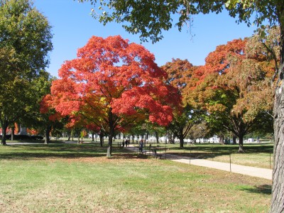 Washington - The Mall